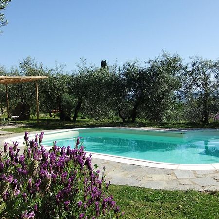 Agriturismo Il Castagnolino サン・ジミニャーノ エクステリア 写真